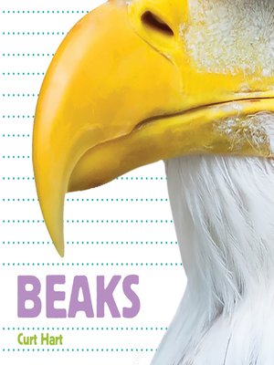 cover image of Beaks